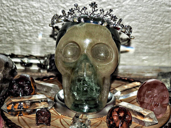 Skully Art Print featuring the photograph Skully was crowned in the Crystal Skull Healing Grid by Rebecca Dru