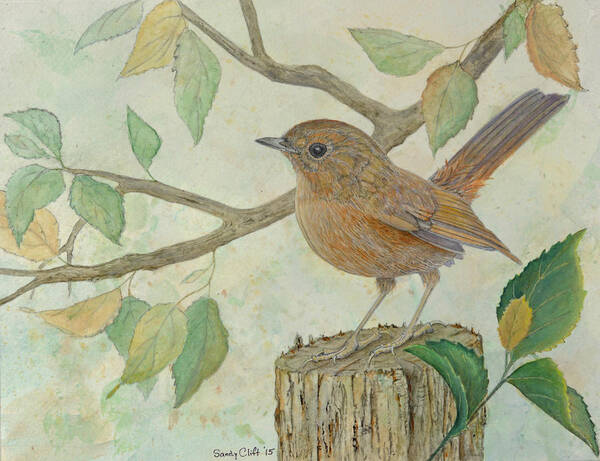 Bird Art Print featuring the painting Slaty-blue Flycatcher by Sandy Clift