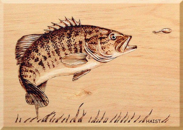 Fish Art Print featuring the pyrography Small Mouth Bass by Ron Haist