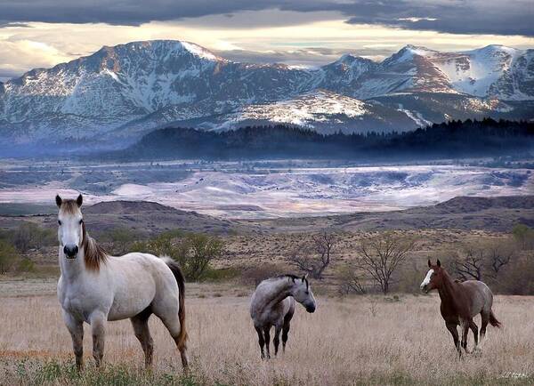 Horses Art Print featuring the digital art Snapshot by Bill Stephens