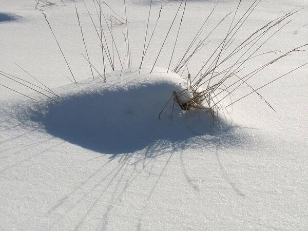 Snow Art Print featuring the photograph Snow Shadows with grass by Douglas Pike
