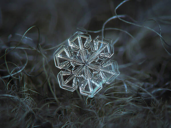 Snowflake Art Print featuring the photograph Snowflake photo - Alcor by Alexey Kljatov