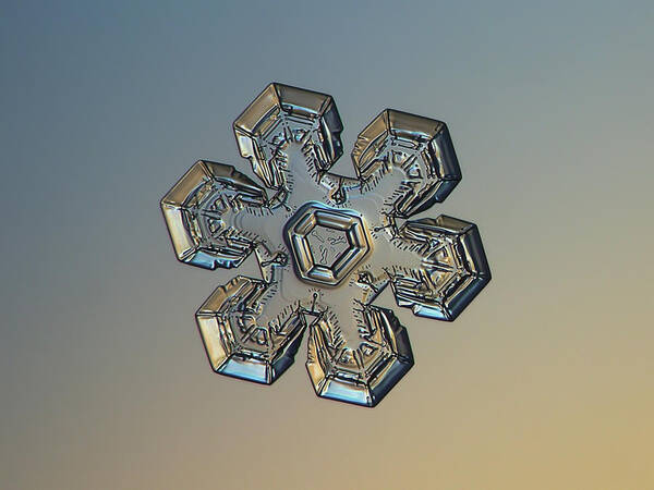 Snowflake Art Print featuring the photograph Snowflake photo - Massive gold by Alexey Kljatov