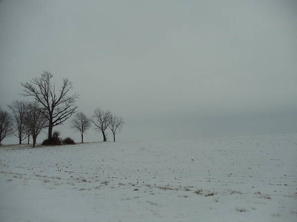 Landscape Art Print featuring the photograph Snowy Illinois Field by David Junod