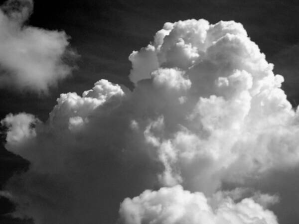 Sky Art Print featuring the photograph Soft Clouds by Arlane Crump