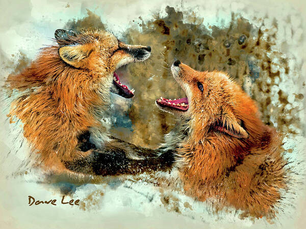 Fox Art Print featuring the mixed media Somebody Needs A Breath Mint by Dave Lee