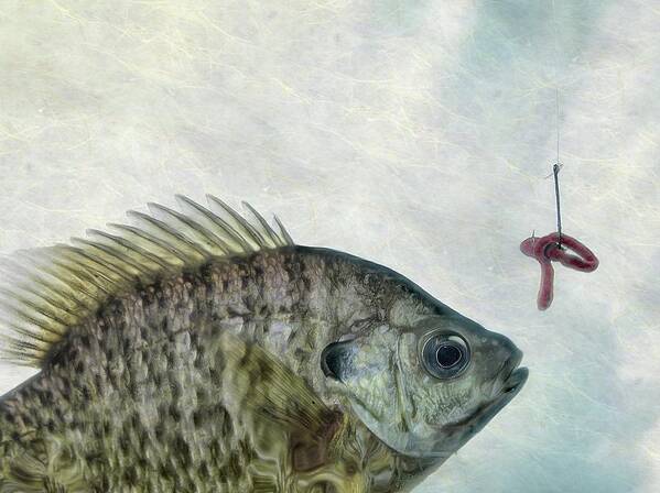 Fish Art Print featuring the photograph Something Fishy by Mark Fuller