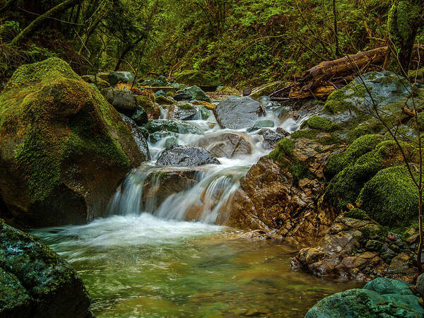 Sonoma Art Print featuring the photograph Sonoma Valley Creek by Bill Gallagher