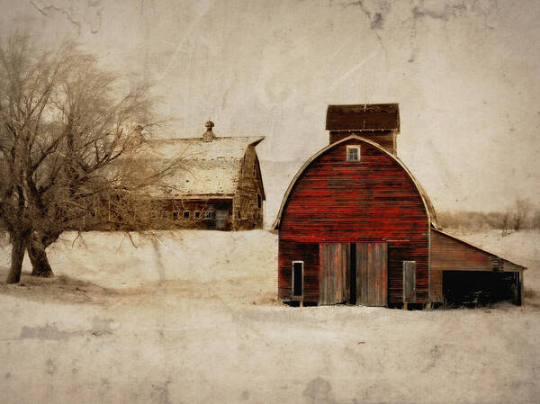 Barn Art Print featuring the photograph South Dakota Corn Crib by Julie Hamilton