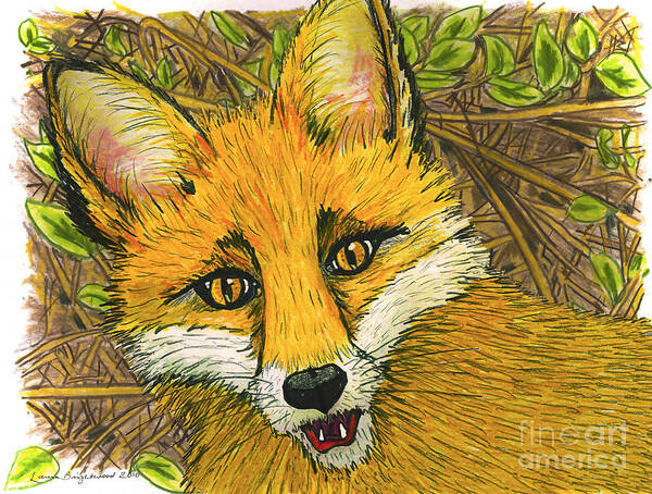 Fox Art Print featuring the drawing Speaking Fox by Laura Brightwood