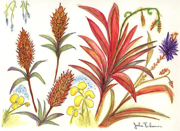 Red Flowers Art Print featuring the painting Spiky Florida Flowers by Julie Richman