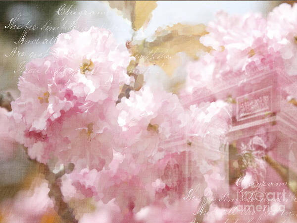 Spring Flowers Art Print featuring the photograph Spring flower in Paris by JBK Photo Art