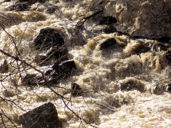 Spring Art Print featuring the photograph Spring Freshet by William Tasker