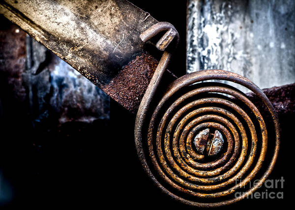 Rust Art Print featuring the photograph Spring Roll by James Aiken