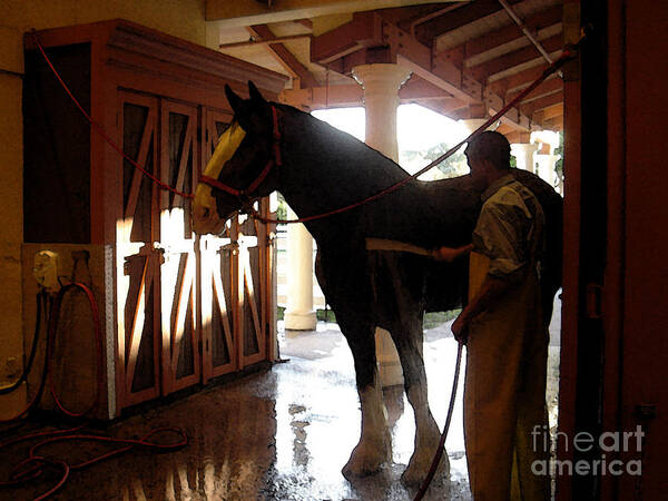 Horse Art Print featuring the photograph Stable Groom - 1 by Linda Shafer