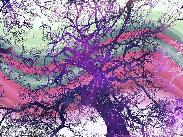 Tree Art Print featuring the digital art Star Baum by Shawna Rowe