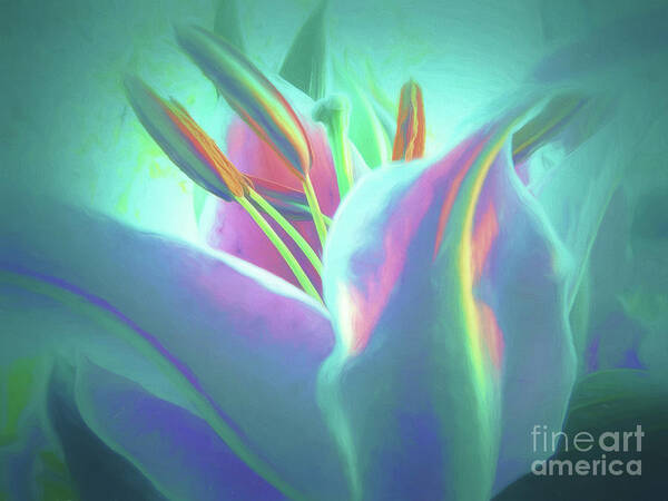  Lilies-lily Art Print featuring the photograph Stargazer-Floral Abstract by Scott Cameron