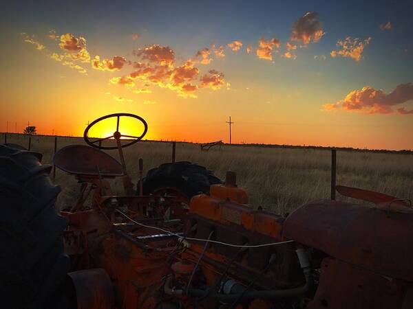 Sunset Art Print featuring the photograph Steering The Sun by Brad Hodges
