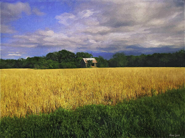 Barn Art Print featuring the photograph Stormy Old Barn In Wheat Field 2 by Anna Louise