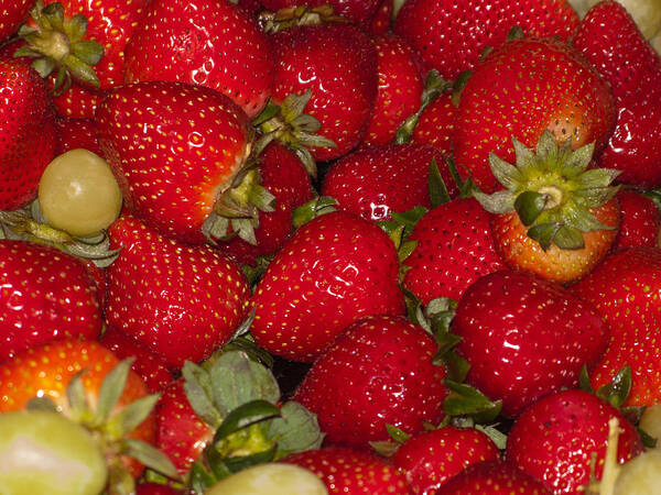 Food Art Print featuring the photograph Strawberries 731 by Michael Fryd