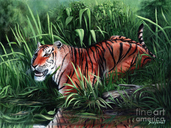 Tiger Art Print featuring the painting Stripes by Bretislav Stejskal
