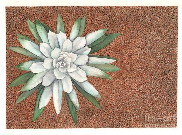 Succulent Art Print featuring the painting Succulent by Hilda Wagner