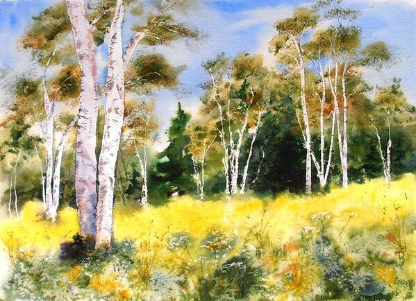 Maine Art Print featuring the painting Summer Birches by Diane Kirk