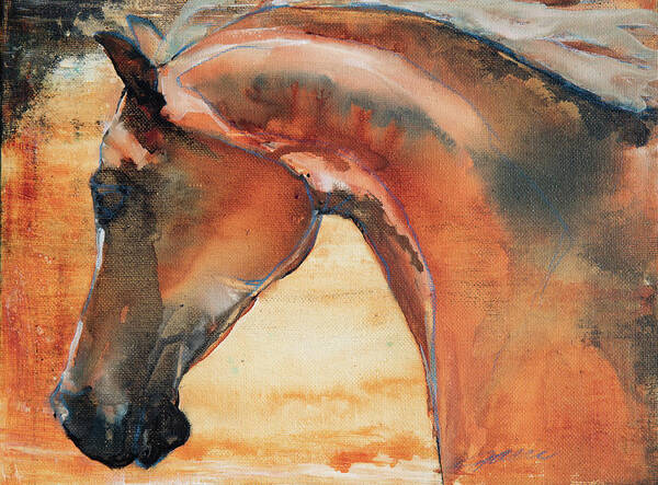 Horse Art Print featuring the painting Sun Kissed Abrabian by Jani Freimann