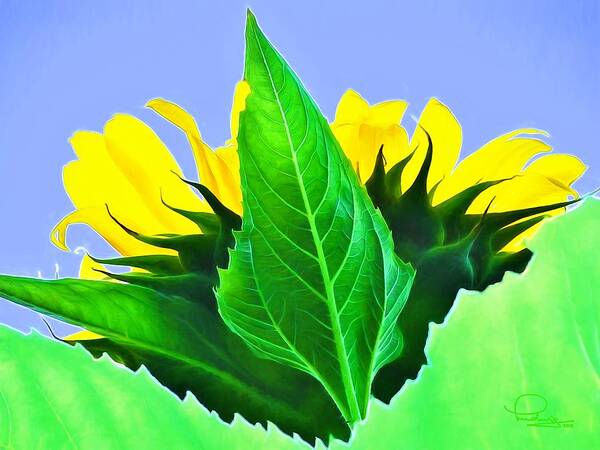Flower Art Print featuring the photograph Sunflower by Ludwig Keck