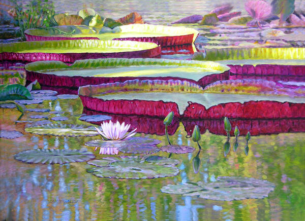 Lily Pond Art Print featuring the painting Sunlight on Lily Pads by John Lautermilch