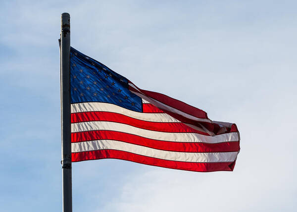 Sunlit Art Print featuring the photograph Sunlit Flag by Holden The Moment