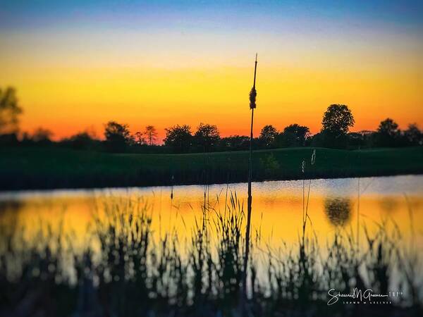 Pond Art Print featuring the photograph Sunset Ablaze by Shawn M Greener