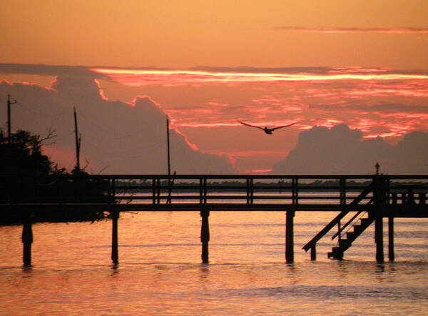 Sunset Art Print featuring the photograph Sunset and the Fishing Dock by Rosalie Scanlon