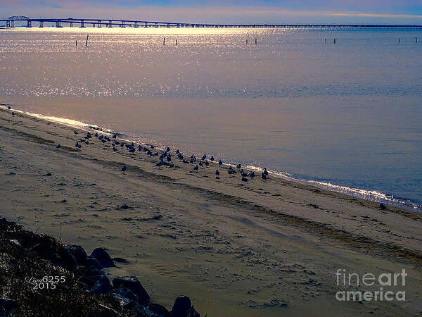 Photoshop Art Print featuring the photograph Sunset At The Bay by Melissa Messick