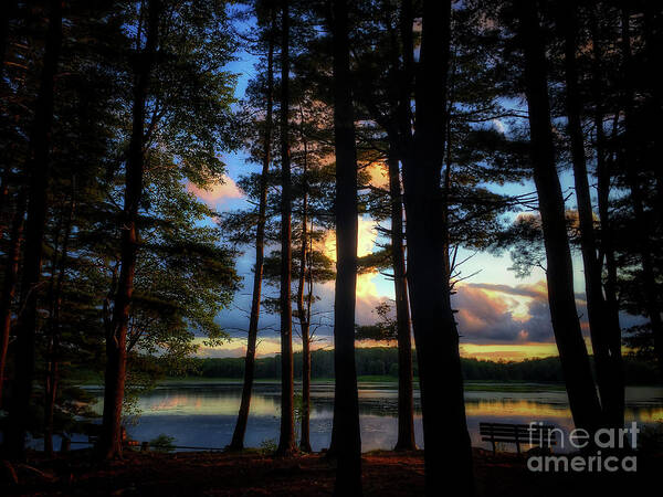 Lake Art Print featuring the photograph Sunset Silhouette by David Rucker