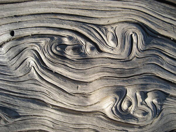 Wood Art Print featuring the photograph Swirls by Sheryl Burns
