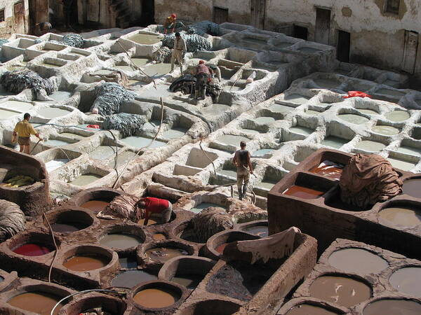 Tannery Art Print featuring the photograph Tanneries at Fez by Erik Falkensteen