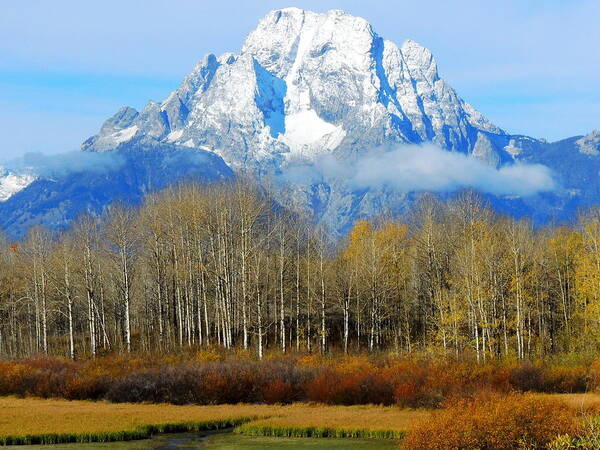 Mountains Art Print featuring the photograph Teton Fall by Charlotte Schafer