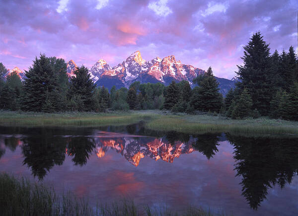 00173534 Art Print featuring the photograph Teton Range At Sunrise Schwabacher by Tim Fitzharris