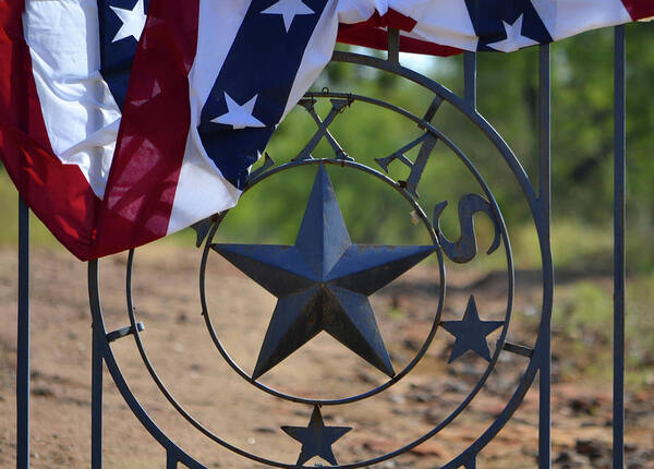 Texas Art Print featuring the photograph Texas and the Red White and Blue by Nadalyn Larsen