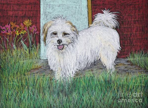 White Dogs Art Print featuring the pastel That Little White Dog by Reb Frost