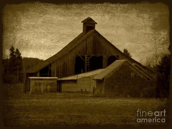 Barn Art Print featuring the photograph the Barn by Sheila Ping