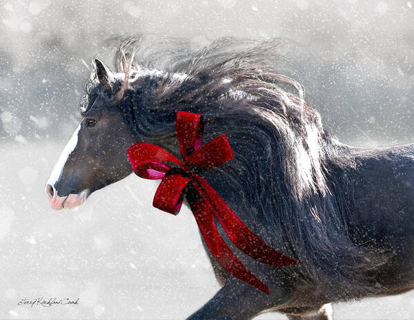 Equine Art Print featuring the photograph The Christmas Beau by Terry Kirkland Cook