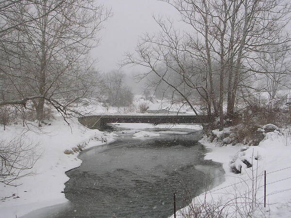 Snow Scene Art Print featuring the photograph The Face by Jack Harries