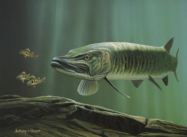 Musky Art Print featuring the painting The Hunter - Musky by Anthony J Padgett
