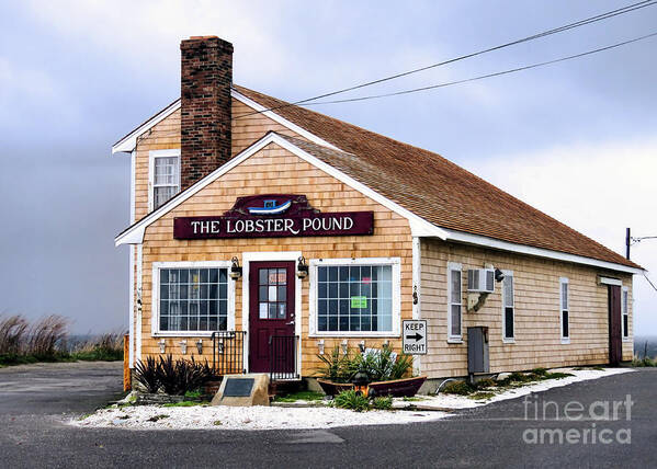 Lobster Pound Art Print featuring the photograph The Lobster Pound by Janice Drew