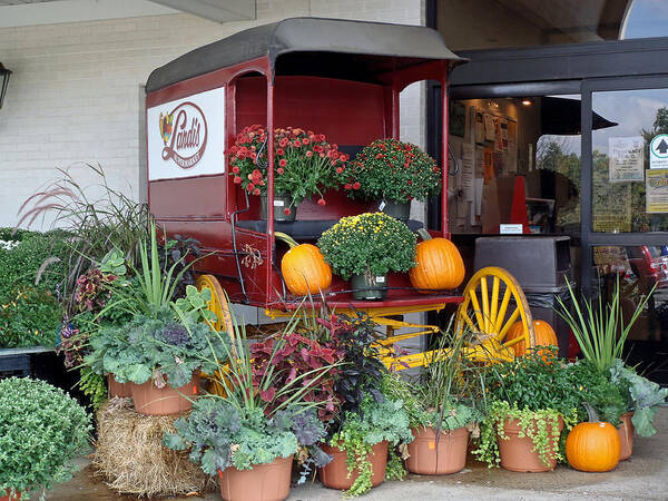 Vegetables Art Print featuring the photograph The Original Delivery Wagon by Carol Senske