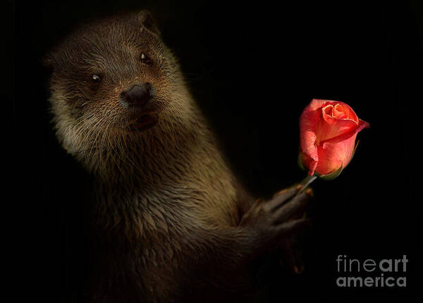 Otter Art Print featuring the photograph The Otter by Christine Sponchia