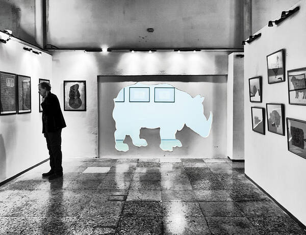 Rhino Art Print featuring the photograph The Rhino in the Room by Jessica Levant