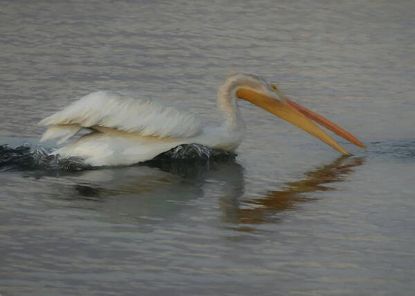 Pelican Art Print featuring the digital art The White Pelican by Ernest Echols